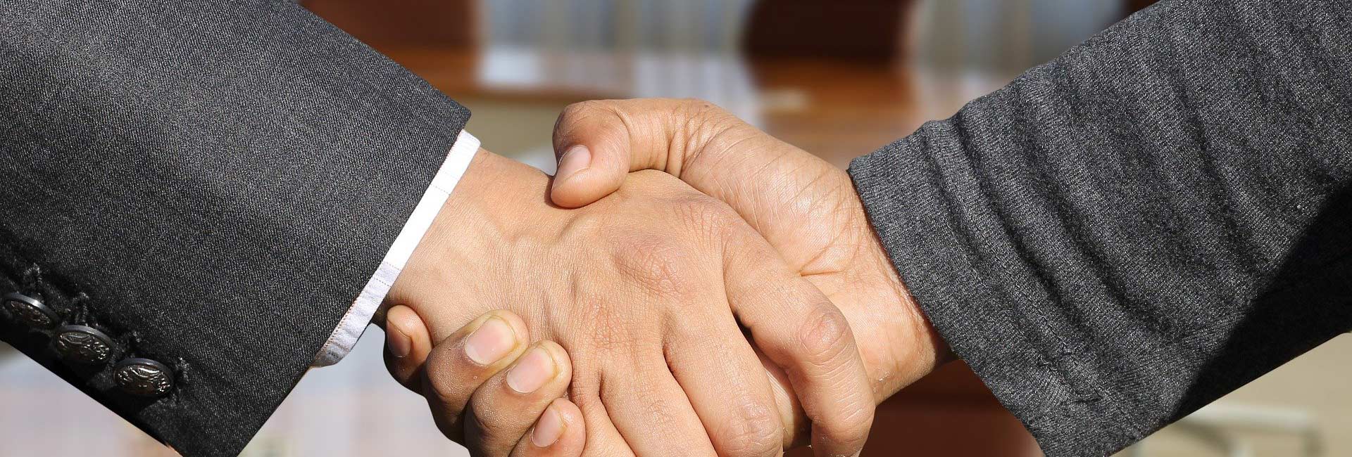 Dedetização Profissional